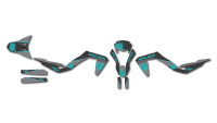 Decorazione Radical Racing V5