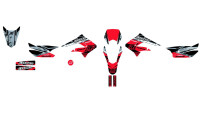 Decorazione Radical Racing Decorazione Radical Racing