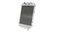 Radiatore Motoflow Radiatore Motoflow