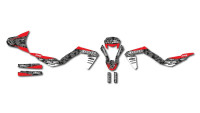 Decorazione Radical Racing V1