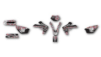 Decorazione Radical Racing V7 Decorazione Radical Racing V7