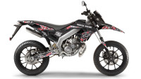Decorazione Radical Racing Decorazione Radical Racing