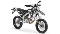 Decorazione Radical Racing V4