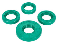 Set di guarnizioni per motore Schmitt