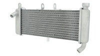 Radiatore Piaggio OEM