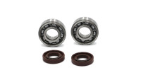 Set di cuscinetti per albero motore Radical Racing