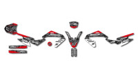 Decorazione Radical Racing Decorazione Radical Racing