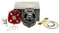 Kit cilindro MVT 50cc Iron Max