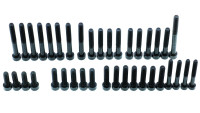 Set di viti per motore Radical Racing Set di viti per motore Radical Racing