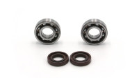 Set di cuscinetti per albero motore Radical Racing