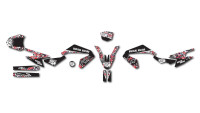 Decorazione Radical Racing Decorazione Radical Racing