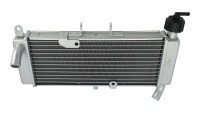 Radiatore Aprilia TNT Radiatore Aprilia TNT