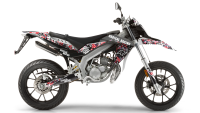 Decorazione Radical Racing V3 Decorazione Radical Racing V3