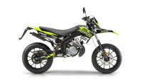 Decorazione Radical Racing V4 Decorazione Radical Racing V4