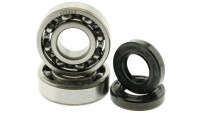 Set di cuscinetti per albero motore Motoflow Set di cuscinetti per albero motore Motoflow