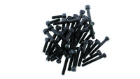Set di viti per motore Radical Racing Set di viti per motore Radical Racing
