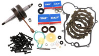Kit di revisione motore Kit di revisione motore