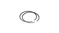Set di fasce elastiche Airsal 50 cc in ghisa grigia Sport Set di fasce elastiche Airsal 50 cc in ghisa grigia Sport