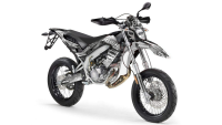 Decorazione Radical Racing V2