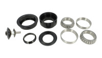Set cuscinetti sterzo Surron OEM