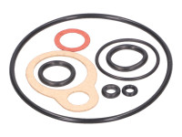 Set di guarnizioni per carburatore Set di guarnizioni per carburatore