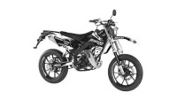 Decorazione Radical Racing V2