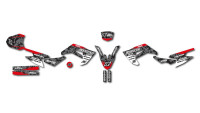 Decorazione Radical Racing Decorazione Radical Racing