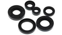 Set di guarnizioni per motore Motoflow