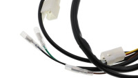 Cablaggio Rieju OEM Cablaggio Rieju OEM