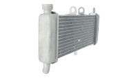 Radiatore Piaggio OEM