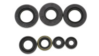 Set di guarnizioni per albero motore Motoflow