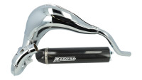 Impianto di scarico Radical Racing Sport in carbonio Impianto di scarico Radical Racing Sport in carbonio