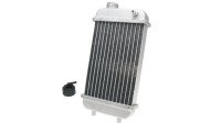 Radiatore con tappo Radiatore con tappo