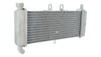 Radiatore Piaggio OEM