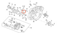 Guarnizione tappo di rabbocco olio Minarelli OEM Guarnizione tappo di rabbocco olio Minarelli OEM
