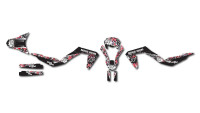 Decorazione Radical Racing V3 Decorazione Radical Racing V3