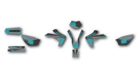 Decorazione Radical Racing V5 Decorazione Radical Racing V5