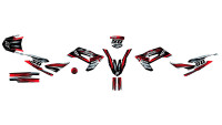 Decorazione Radical Racing Decorazione Radical Racing