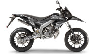 Decorazione Radical Racing