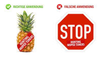 Adesivo con ananas "Hunting Moped Tuners" Adesivo con ananas "Hunting Moped Tuners"