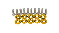 Set di viti per rivestimenti