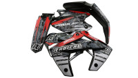 Kit carenatura e decorazioni Radical Racing Kit carenatura e decorazioni Radical Racing