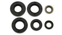 Set di guarnizioni motore Replica originale