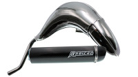 Impianto di scarico Radical Racing Sport in carbonio Impianto di scarico Radical Racing Sport in carbonio