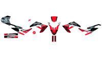 Decorazione Radical Racing Decorazione Radical Racing