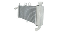 Radiatore Piaggio OEM