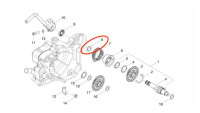 Rondella di compensazione per albero del kickstarter Piaggio OEM Rondella di compensazione per albero del kickstarter Piaggio OEM